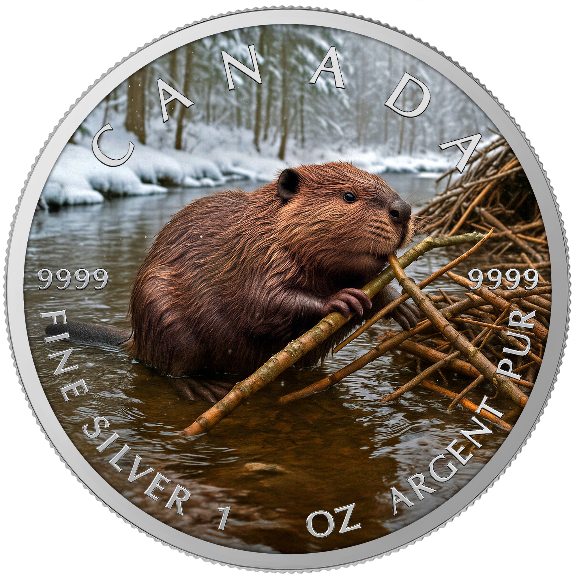 MintCoins Canada 2025 - Beaver - .999 silver coin 1 oz