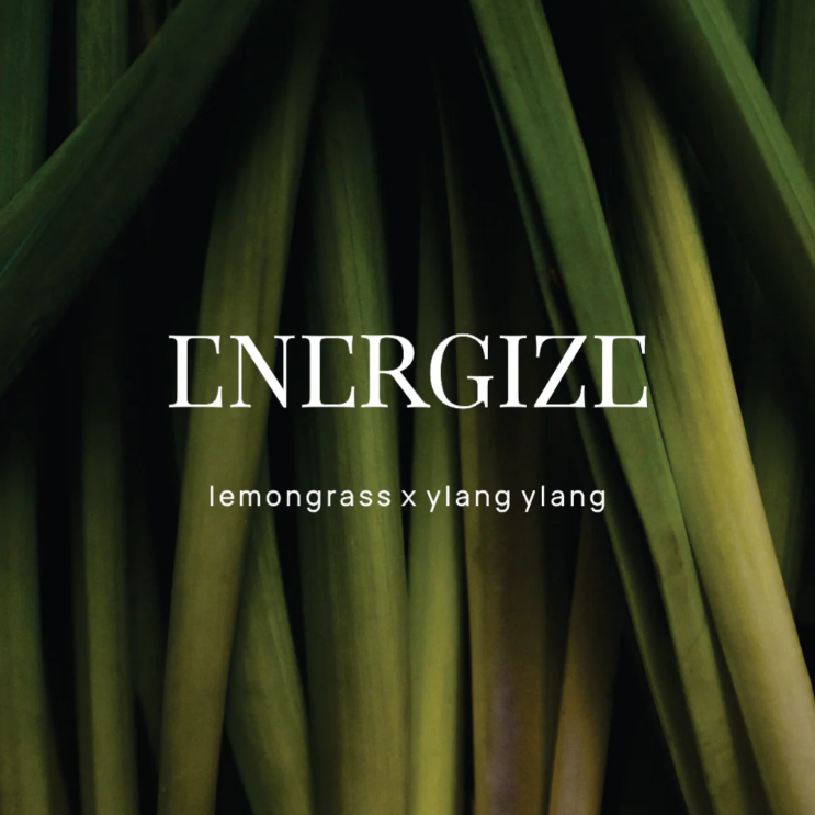 WILD EMERY SHOWER STEAMER ENERGIZE