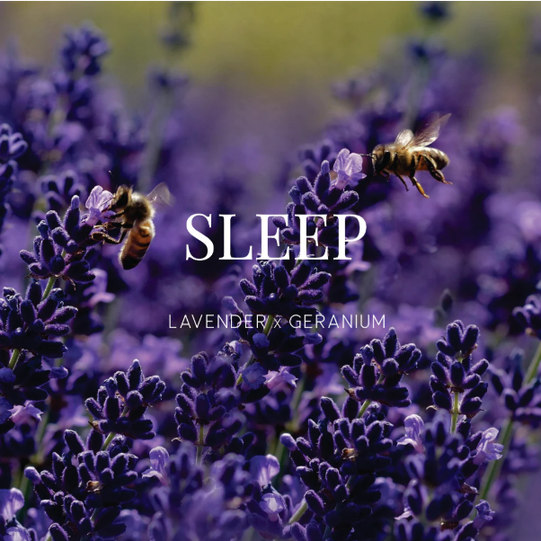 WILD EMERY SHOWER STEAMER SLEEP