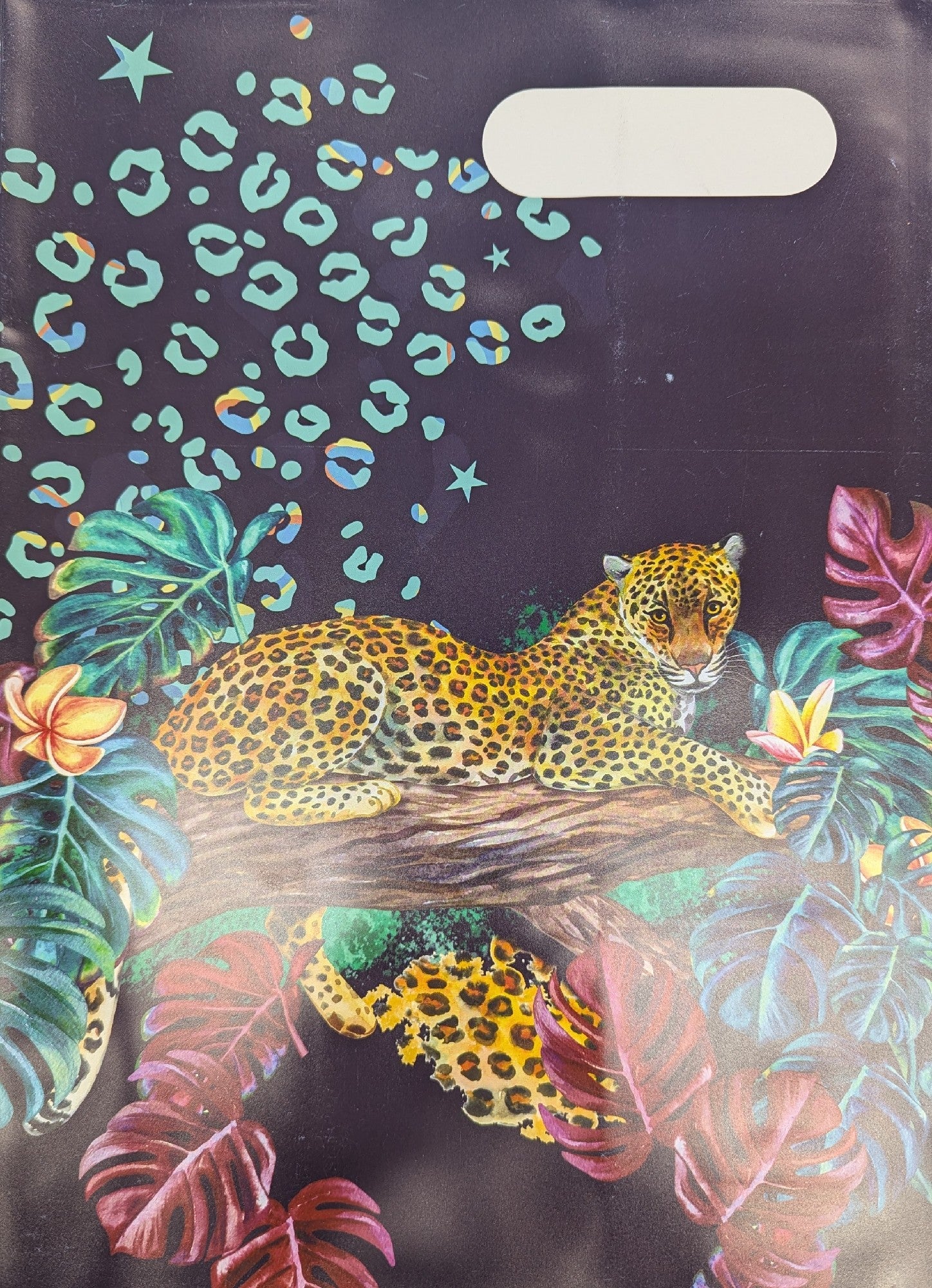 SPENCIL A4 BOOK COVER - LEOPARD QUEEN 1