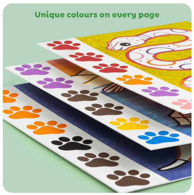 Tiger Tribe Paint a Picture Set - Wild Animals