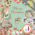Breast Cancer Network Australia-Christmas Card Wallet-Animal Greetings