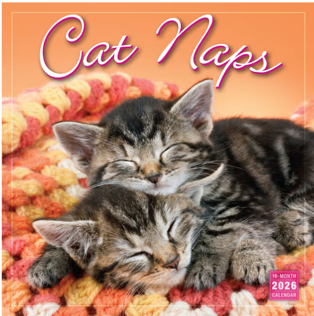 Cat Naps 2026 Square