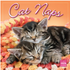 Cat Naps 2026 Square