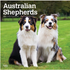 Australian Shepherds 2026 Square