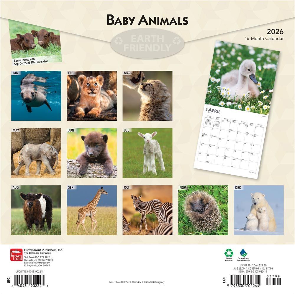 Baby Animals 2026 Square