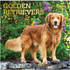 Golden Retrievers 2026 Square Foil
