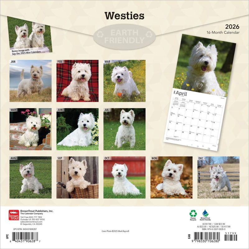 West Highland White Terriers 2026 Square