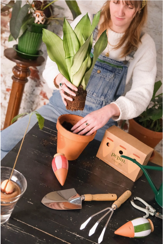 Simple and effective Indoor Plant Care with Pepin Ollas