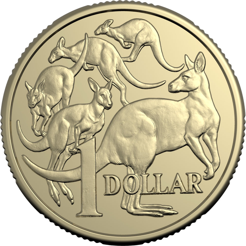 ROYAL AUSTRALIAN MINT 2025 $1 CIRCULATED NON-PREMIUM COIN ROLL