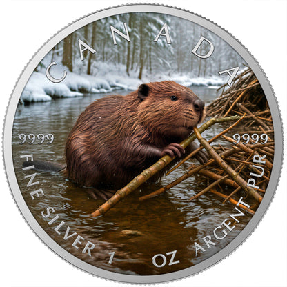 MintCoins Canada 2025 - Beaver - .999 silver coin 1 oz