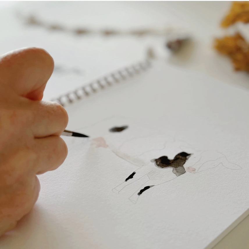 EMILY LEX STUDIO - WATERCOLOUR WORKBOOK - FARM