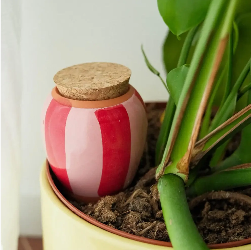 PEPIN OLLA - STRIPED RED &amp; PINK