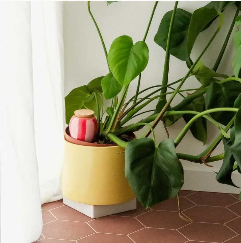 PEPIN OLLA - STRIPED RED &amp; PINK