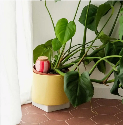 PEPIN OLLA - STRIPED RED &amp; PINK