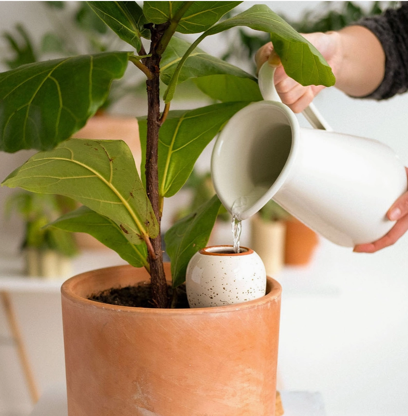 PEPIN OLLA - SPECKLED WHITE