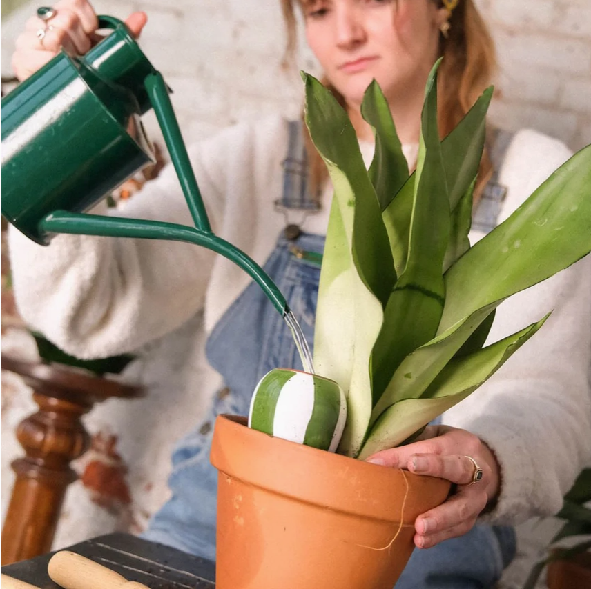 PEPIN TRIO MINI OLLAS - THE STRIPED 