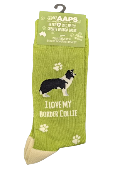 AAPS BAMBOO SOCKS-BORDER COLLIE