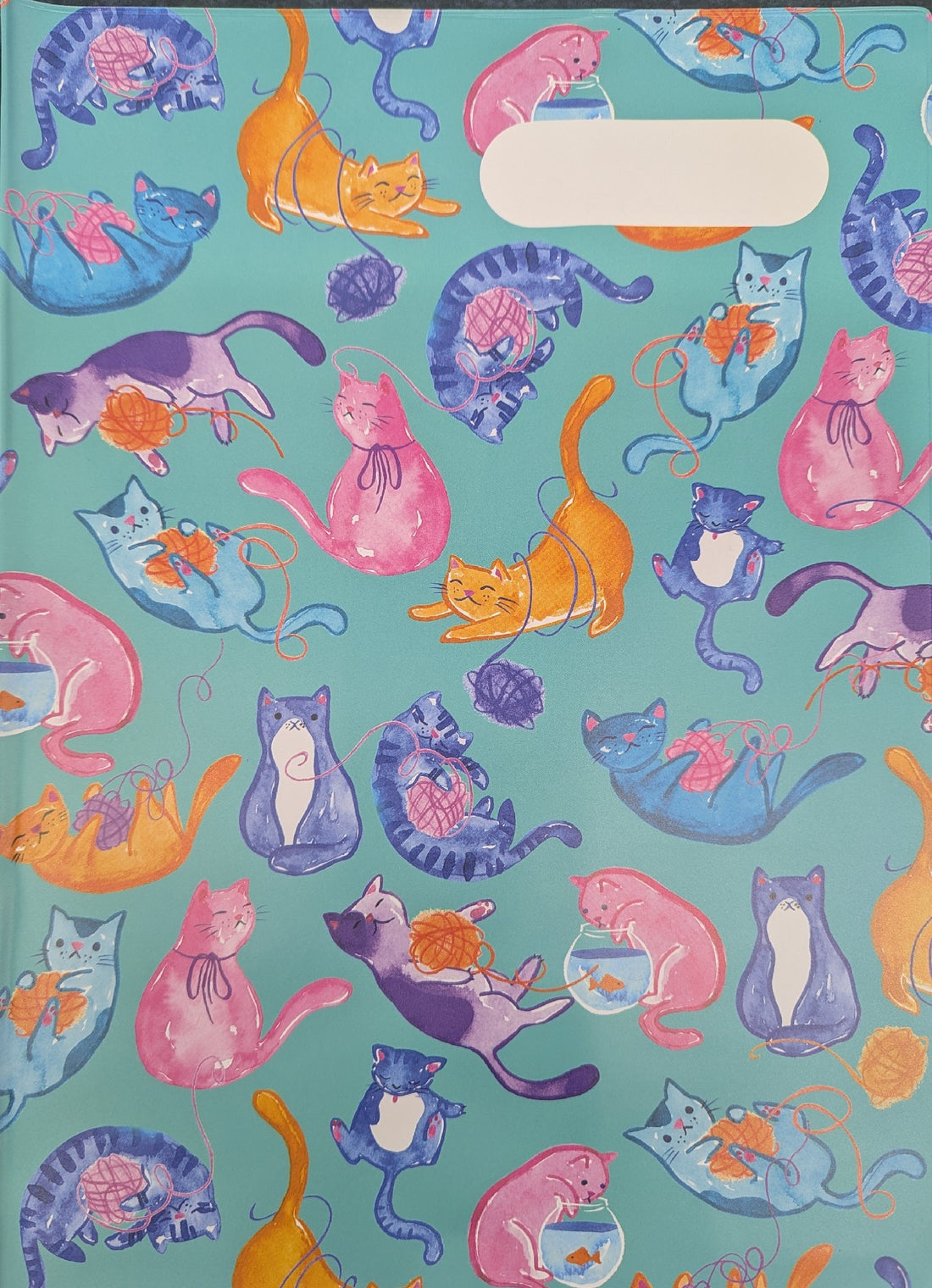 Spencil A4 Book Cover - Crazy Cats