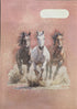 Spencil A4 Book Cover - Wild Horses
