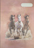 Spencil Scrapbook Cover - Wild Horses