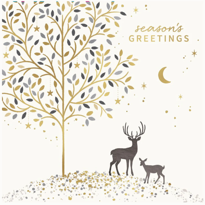 DMENTIA AUSTRALIA DEER MAGIC CHARITY BOXED CHRISTMAS CARDS 