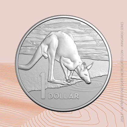 ROYAL AUSTRALIAN MINT COIN PACK $1 2024 PROOF 40MM KANGAROO SERIES