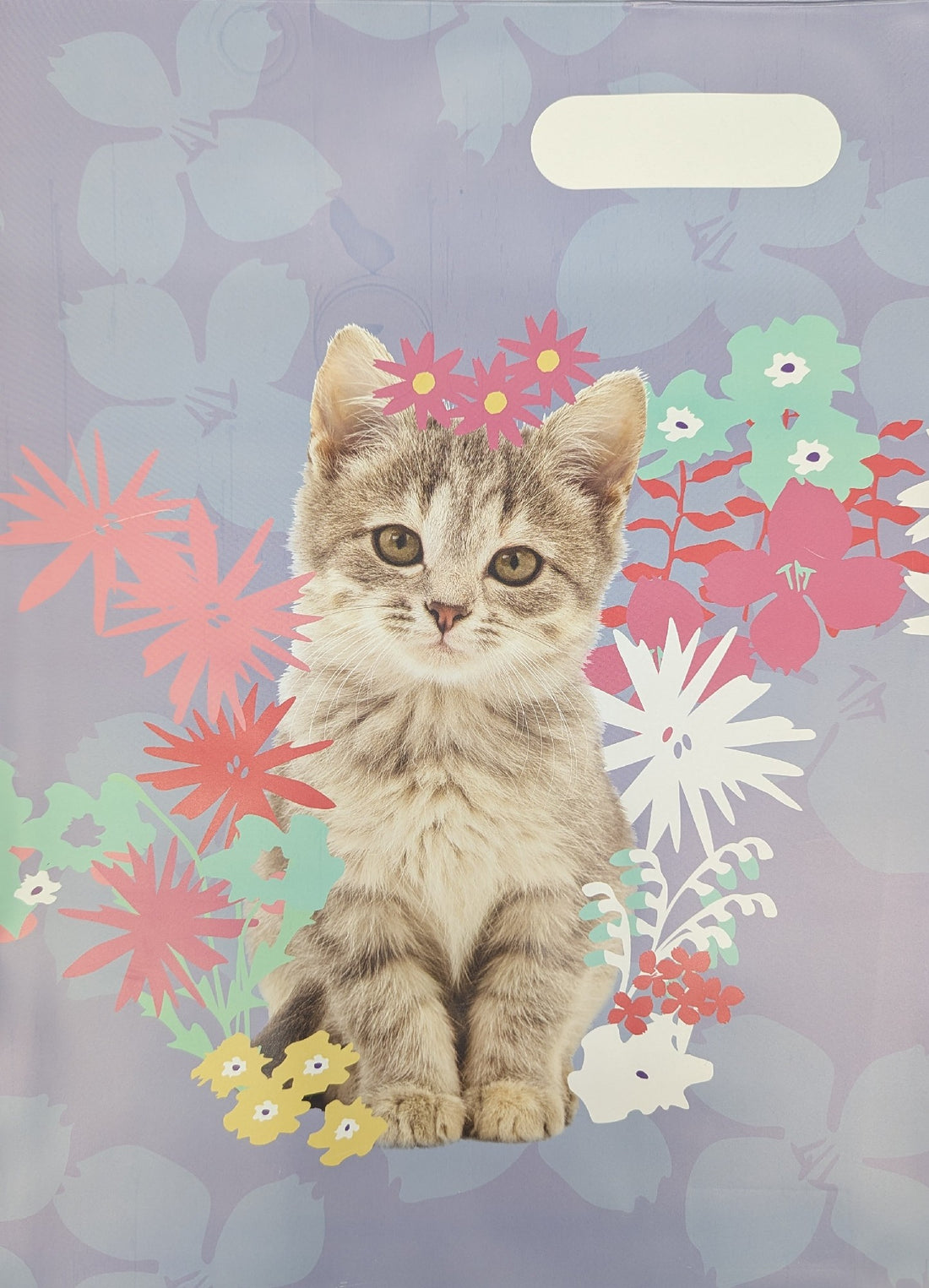 SPENCIL SCRAPBOOK COVER-MISS MEOW 1