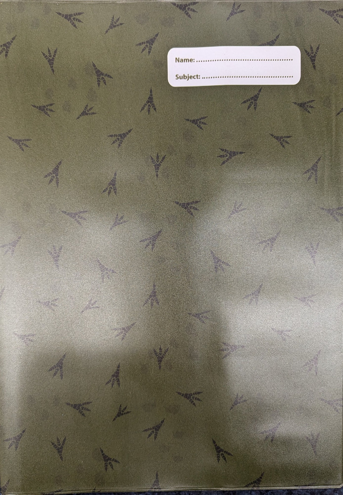 SPENCIL A4 BOOK COVER DINOSAURS 5