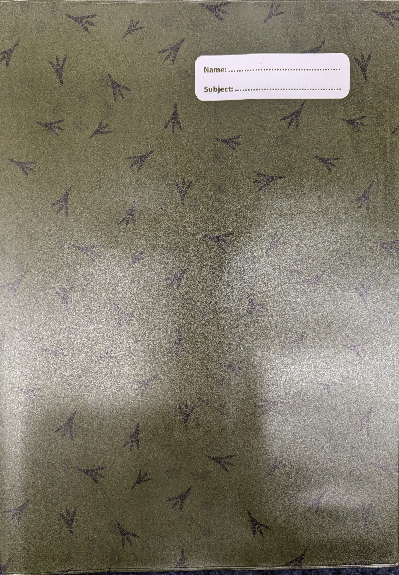 SPENCIL A4 BOOK COVER DINOSAURS 5