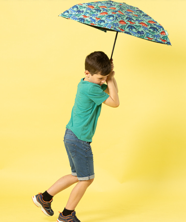 Compact Umbrella - Dino Stomp