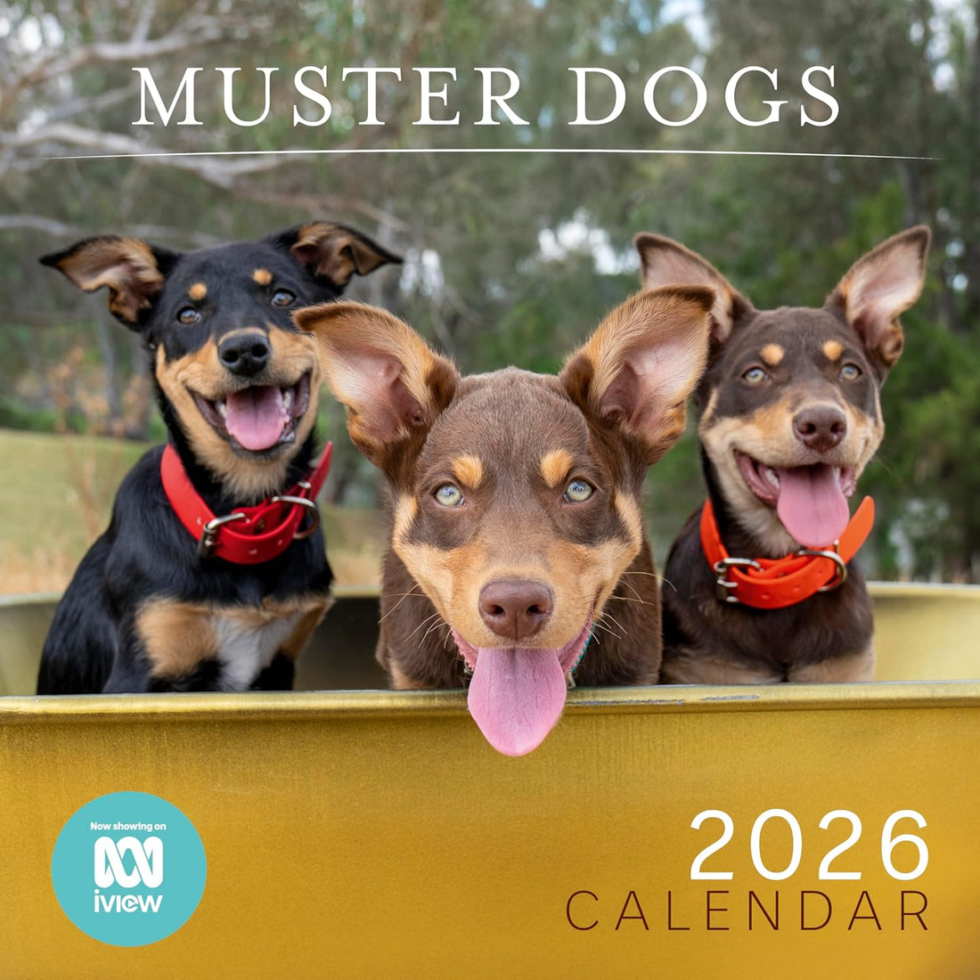 MUSTER DOGS CALENDAR: 2026
