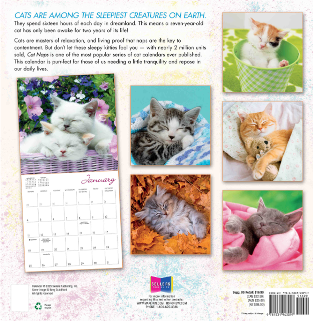 Cat Naps 2026 Square