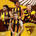 AFL HAWTHORN HAWKS CALENDAR: 2026