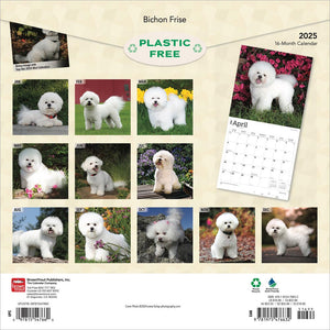 Bichon Frise 2025 Square