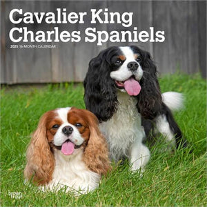 Cavalier King Charles Spaniels 2025 Square