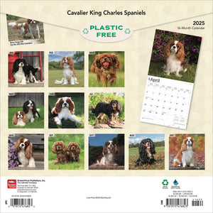 Cavalier King Charles Spaniels 2025 Square