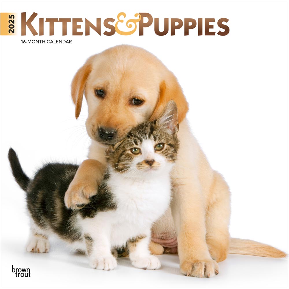 Kittens & Puppies 2025 Square FOIL