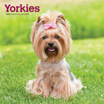 Load image into Gallery viewer, Yorkshire Terriers 2025 Square
