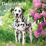 Load image into Gallery viewer, Dalmatians 2025 Square
