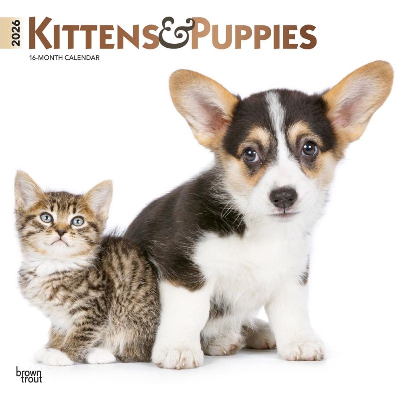 Kittens &amp; Puppies 2026 Square Foil