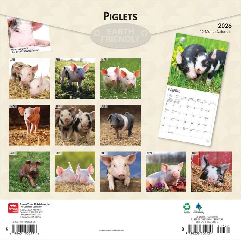 Piglets 2026 Square