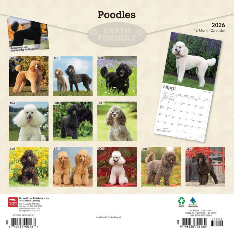 Poodles 2026 Square