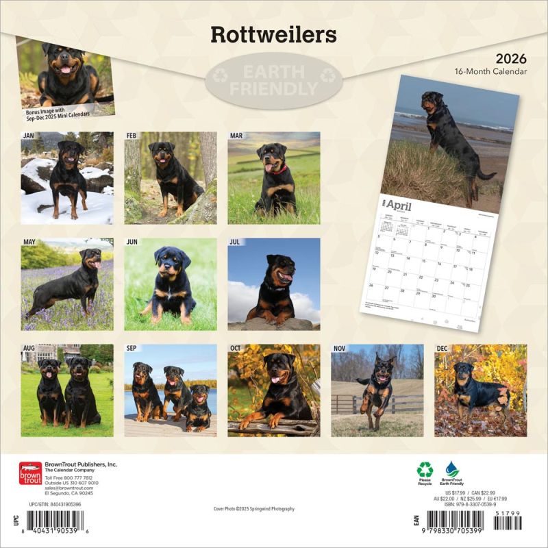 Rottweilers 2026 Square