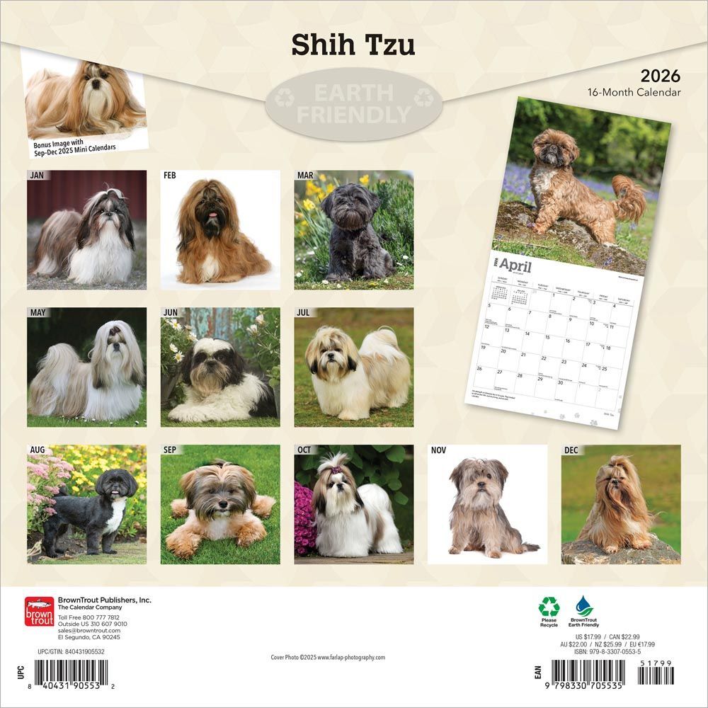 Shih Tzu 2026 Square