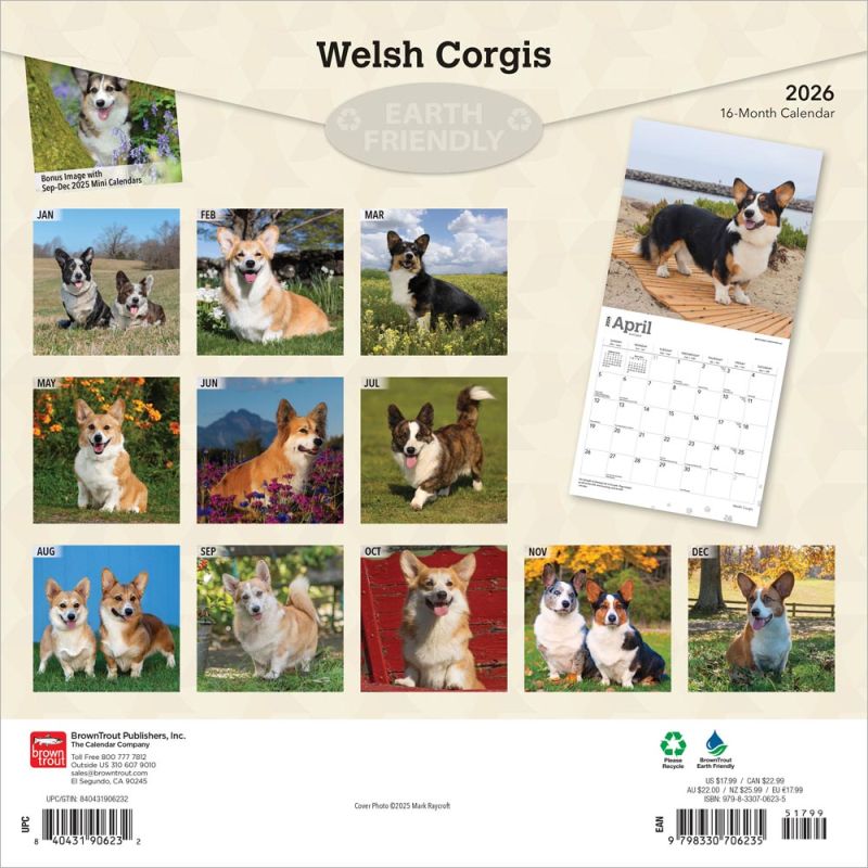 Welsh Corgis 2026 Square